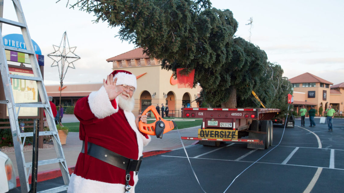 Arizona’s tallest Christmas tree to arrive at north Phoenix shopping center Wednesday