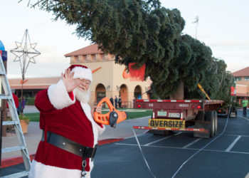 Arizona’s tallest Christmas tree to arrive at north Phoenix shopping center Wednesday