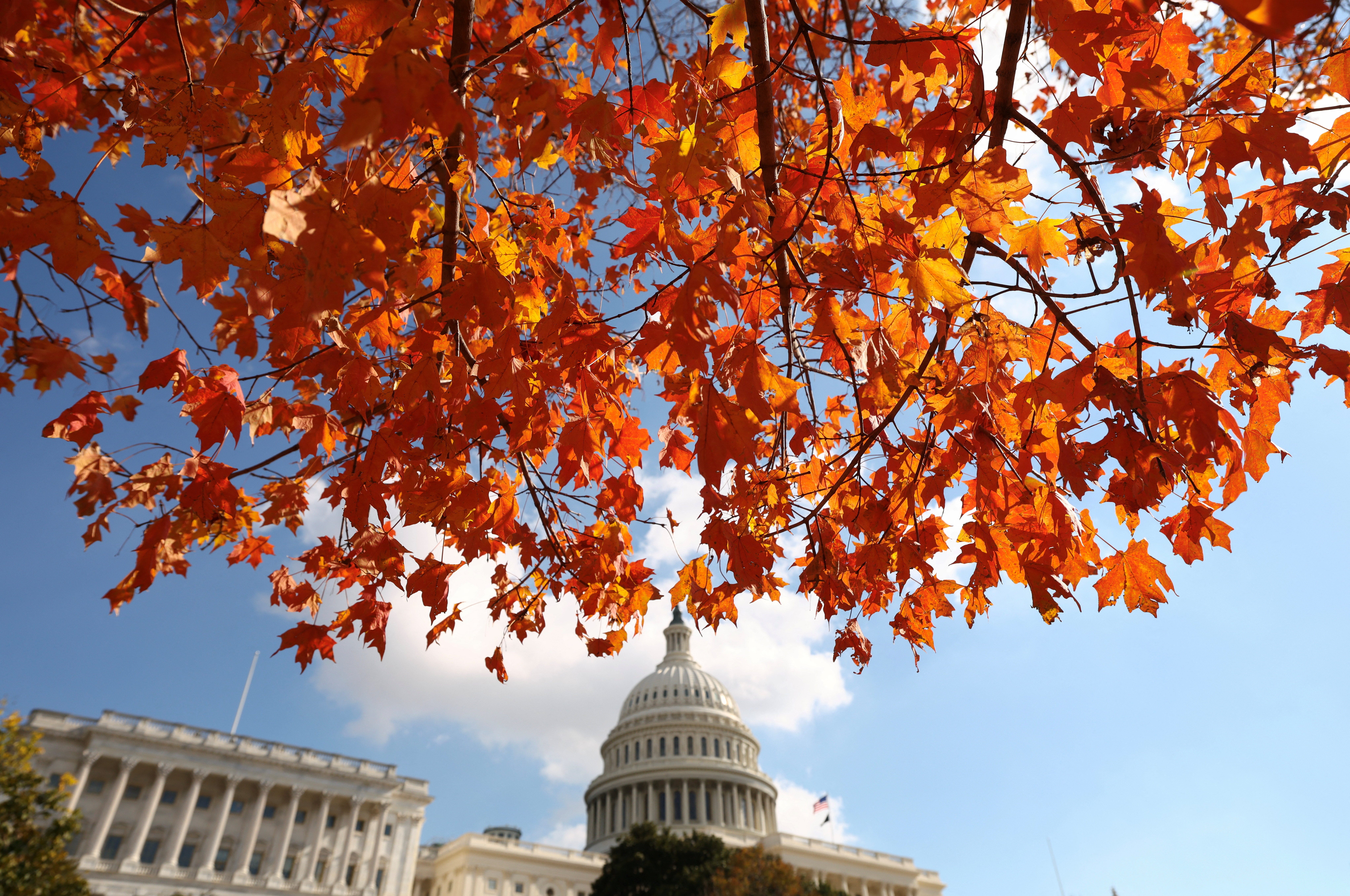 us capitol in the fall