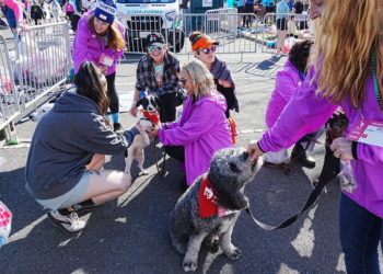 At the Start, Dogs Help Runners Relax Before the New York Marathon
