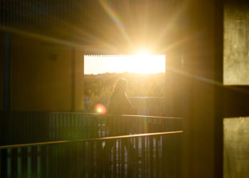 Austin Asked Voters to Raise Taxes for the Homeless. It’s Not Going Well.