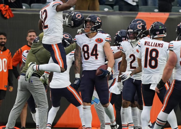 Bears outlast Bengals for wild 47-42 win on Williams’ TD pass to Loveland in final minute
