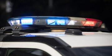 Police say they may have cracked egg theft case in Takoma Park