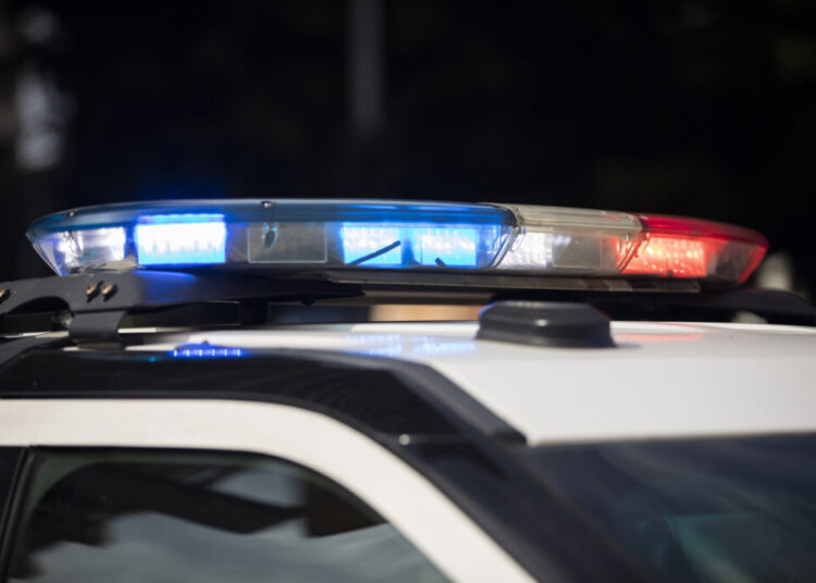 Police say they may have cracked egg theft case in Takoma Park