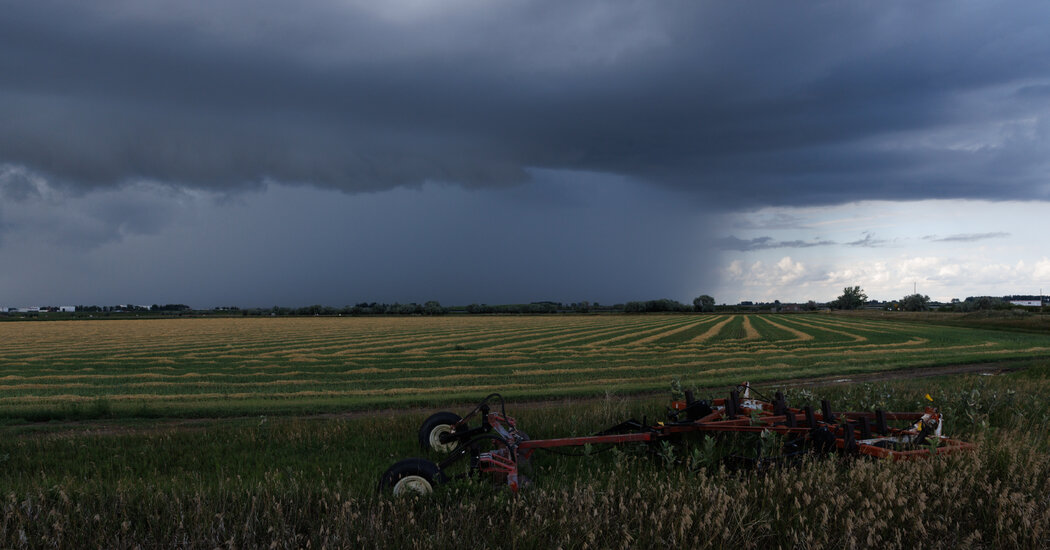 Canada Is About to Lose Its Status as Having Eliminated Measles