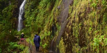 Chasing Waterfalls in Madeira’s Misty Mountains