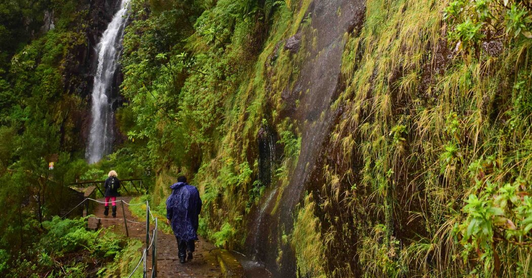 Chasing Waterfalls in Madeira’s Misty Mountains
