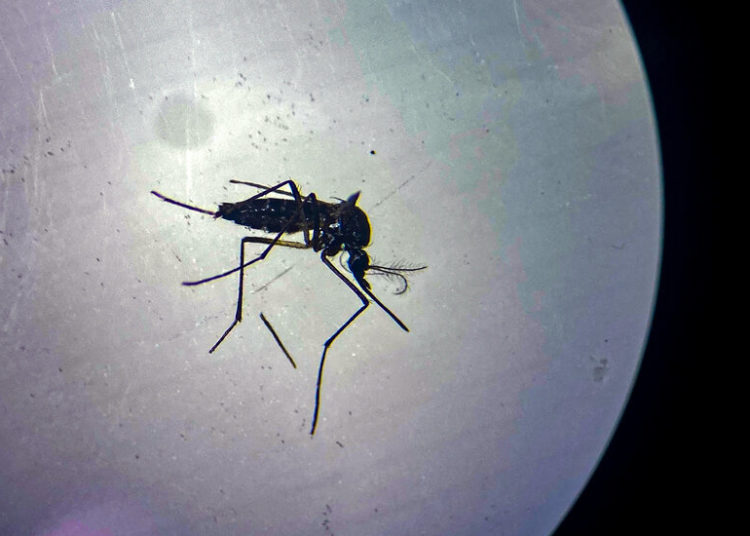 Chatbot Correspondence Invades the Letters to the Editor Page