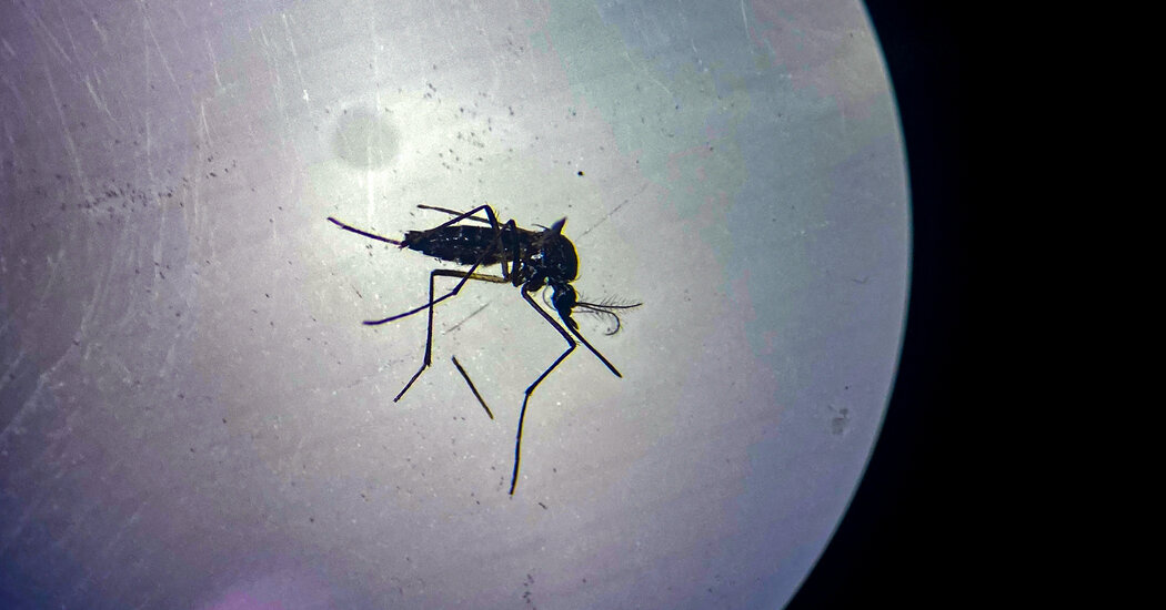 Chatbot Correspondence Invades the Letters to the Editor Page