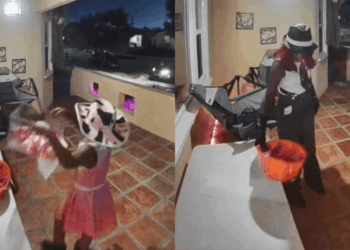 Child, adult steal all the Halloween candy from L.A. home’s porch 