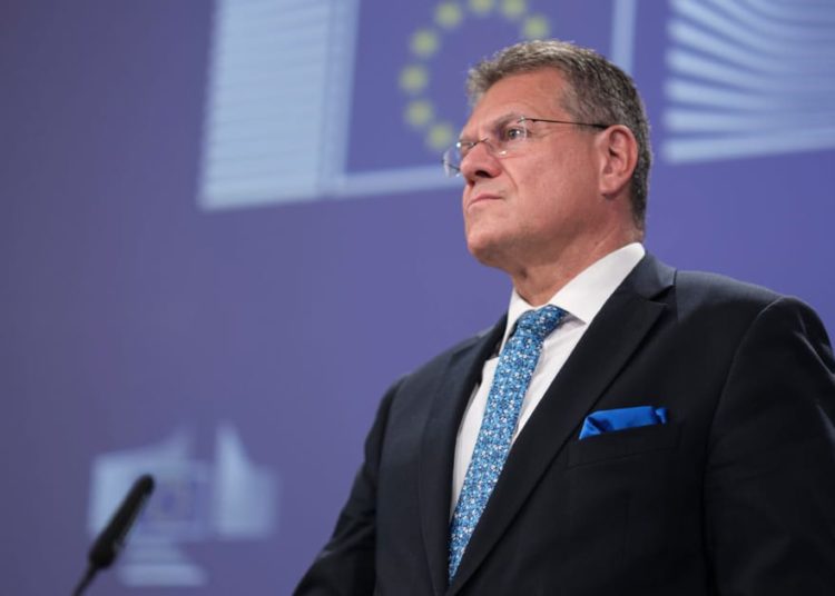 China’s pause on rare earth export controls extends to EU