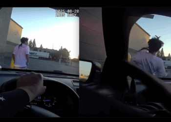 Cop driving patrol car doesn’t mess around when he spots alleged gunman on the run — and reaching for his waistband