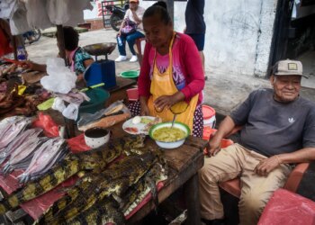 Wild Danger: The Dilemma of Peru’s Floating City Wet Market
