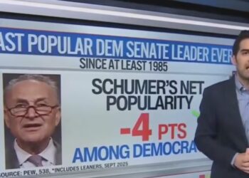 CNN Data Guru Reveals Just How Much Democrats Can’t Stand Chuck Schumer
