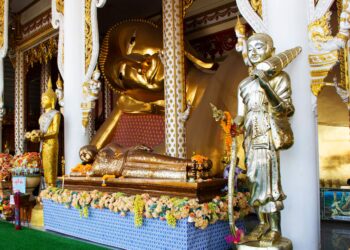 Woman Found Alive in Coffin After Knocking Heard at Crematorium