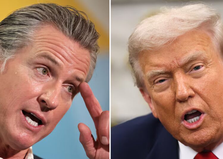 Newsom Delivers Savage ‘Translation’ of Trump’s Rant