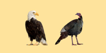 How to pay this great American inheritance forward