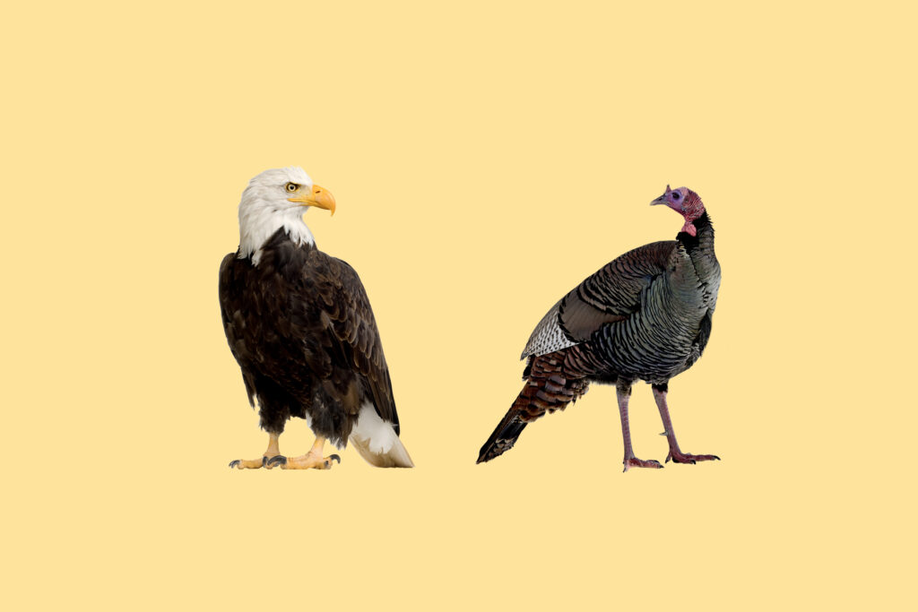 How to pay this great American inheritance forward