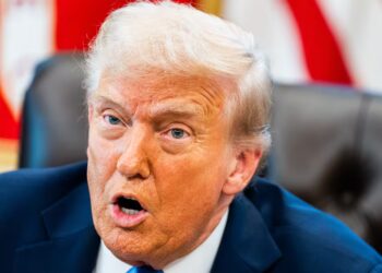 MAGA Backs Trump on Epstein but Is Raging at Him Over Something Else