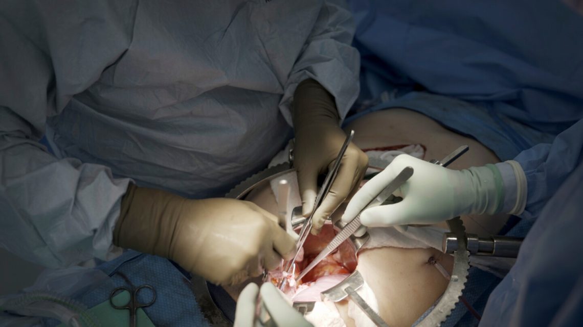 First clinical trial of pig kidney transplants gets underway