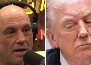 Rogan Brutally Mocks Trump Over Epstein Files Flip-Flop