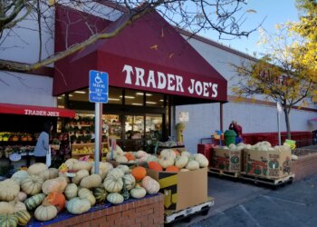 Trader Joe’s Thanksgiving Snacks Worth Splurging On