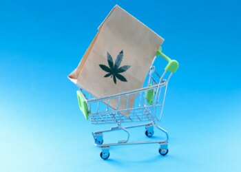 Cyber Week Is Lit: The Best Weed and CBD Deals Worth Getting High About