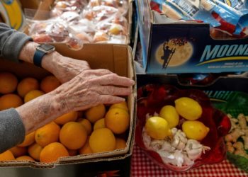 Governor Lee providing funding for food banks as SNAP benefits impacted by shutdown