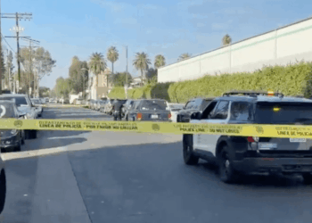 Gunfire erupts at Indoor Valley Swap Meet in Panorama City; at least 1 person shot