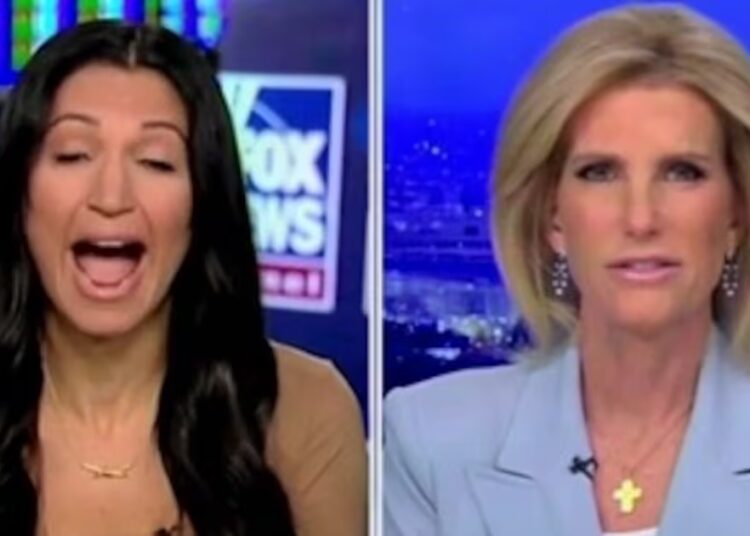 Stephen Miller’s Wife Melts Down at Joy Reid Over Comments About Usha Vance’s Marriage