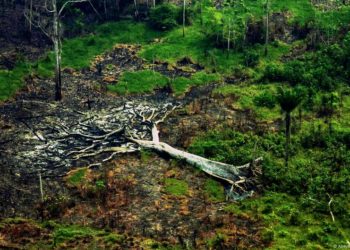 High stakes and hopes as world leaders gather ahead of COP30