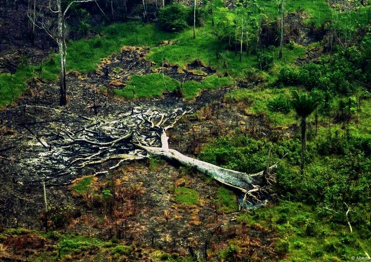 High stakes and hopes as world leaders gather ahead of COP30