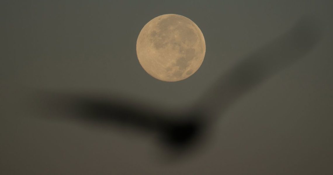 How to spot November’s supermoon, the closest of the year