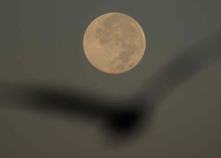 How to spot November’s supermoon, the closest of the year