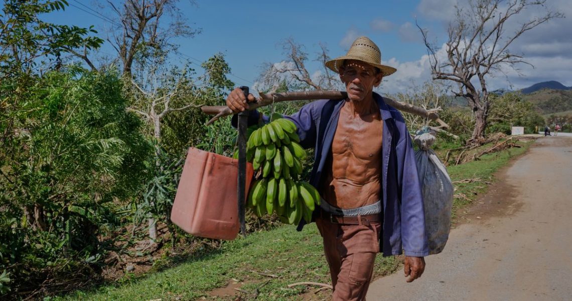 Hurricane Melissa deals another heavy blow to Jamaica’s farmers and fishers
