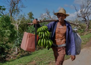 Hurricane Melissa deals another heavy blow to Jamaica’s farmers and fishers