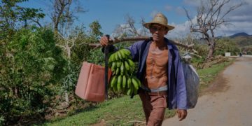 Hurricane Melissa deals another heavy blow to Jamaica’s farmers and fishers