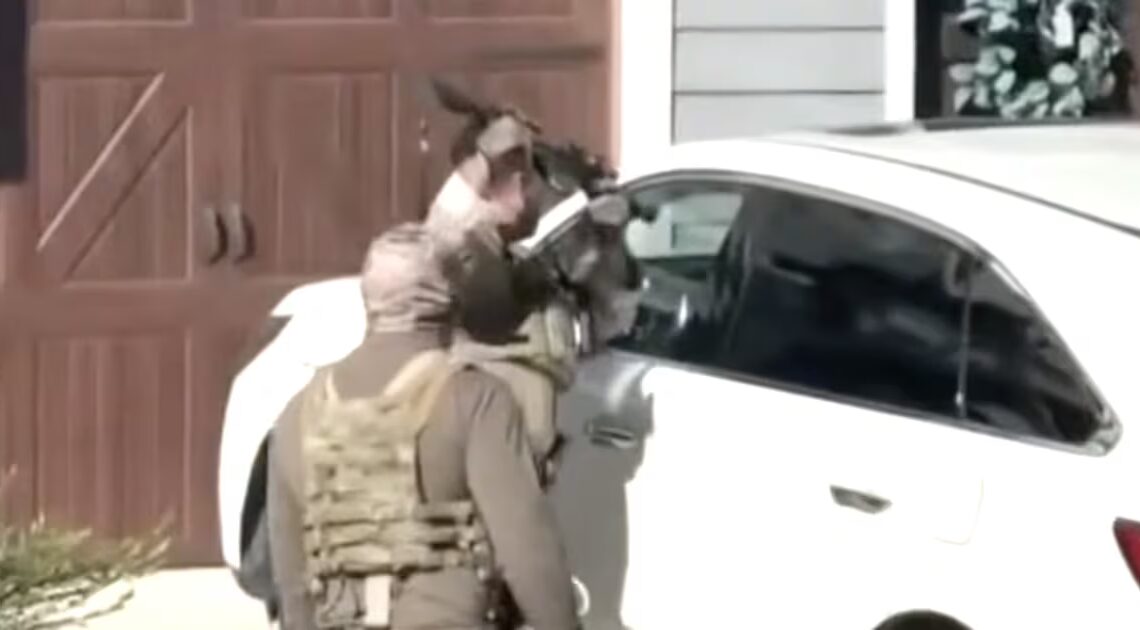 Border Patrol Goons Arrest Women at Gunpoint for Honking Car Horn