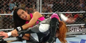 ‘WWE Survivor Series’: AJ Lee Wins WarGames Match for Her Team