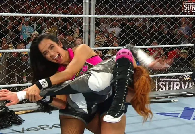 ‘WWE Survivor Series’: AJ Lee Wins WarGames Match for Her Team