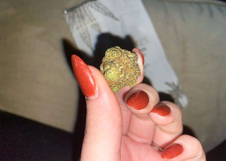 A THCa Flower That Makes All the Other Strains Jealous