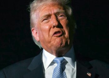 Murdoch Paper Roasts Trump’s Revenge Tour Turning Into a Total Bust