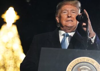 Trump Is Even Making Fake Christmas Trees More Expensive