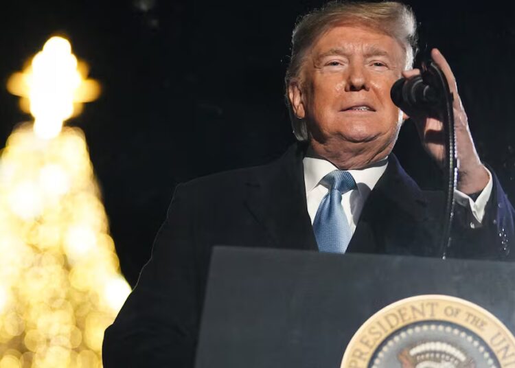 Trump Is Even Making Fake Christmas Trees More Expensive