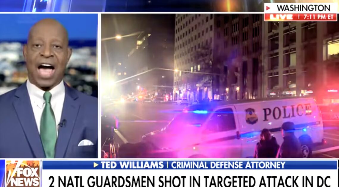 Fox News Host Erupts at Guest Trashing Trump’s Plan on Air