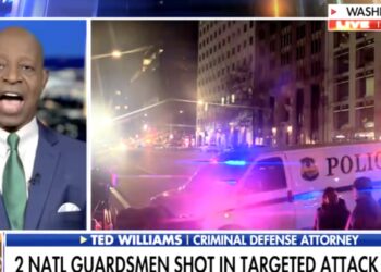 Fox News Host Erupts at Guest Trashing Trump’s Plan on Air