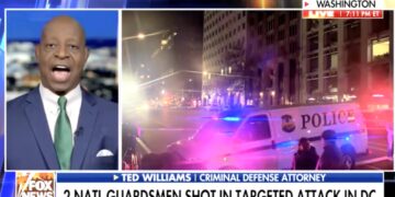 Fox News Host Erupts at Guest Trashing Trump’s Plan on Air