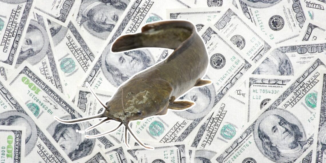 Is Your Match Financially Catfishing You? 50% of People Do It.