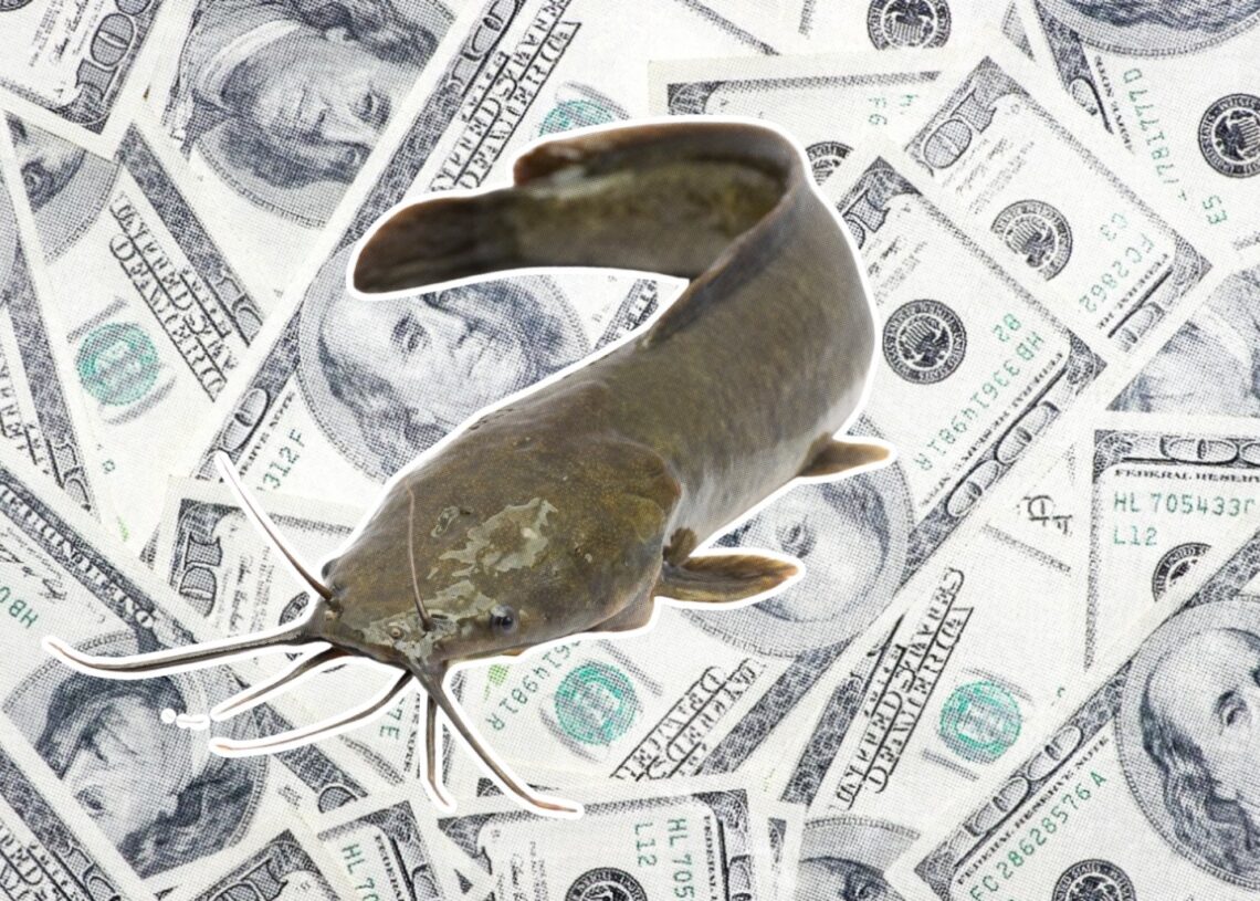 Is Your Match Financially Catfishing You? 50% of People Do It.