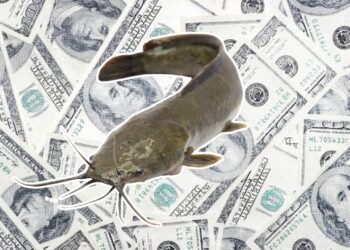 Is Your Match Financially Catfishing You? 50% of People Do It.